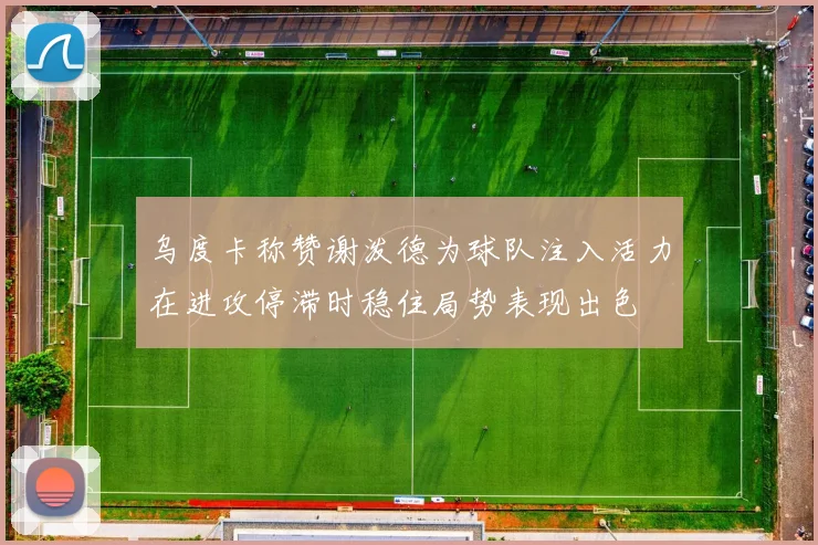乌度卡称赞谢泼德为球队注入活力在进攻停滞时稳住局势表现出色